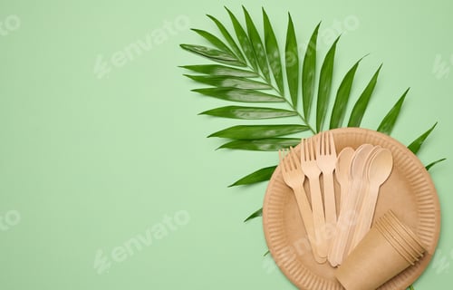 Preview: Paper plates and cups, wooden spoons and forks on a green background