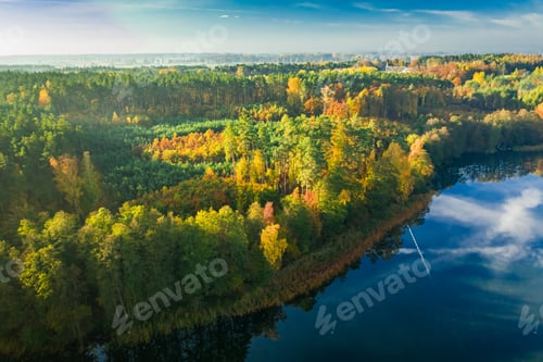 Preview: Aerial view of forest and lake with chemtrail reflection