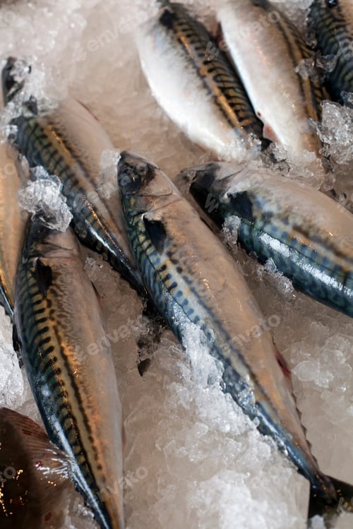 Preview: Fresh fish, the catch of the day, laid out on a bed of ice. Park City market. Utah.