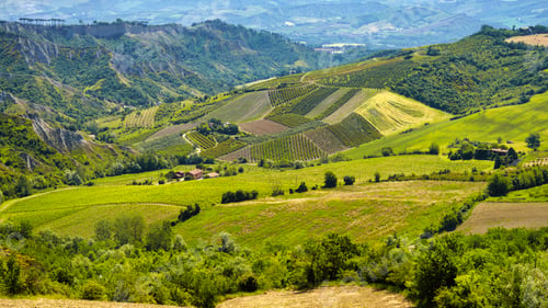 Preview: Rural landscape on the hills near Imola and Riolo Terme
