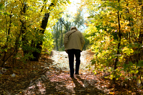 Preview: a lonely senior man walking in the autumn forest with fallen leaves, sadness concept
