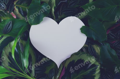 Visualização: folhas verdes frescas