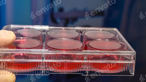 Preview: Science and Biotechnology, Laboratory Research, Cell Culture. Cells Biological Culture Concept