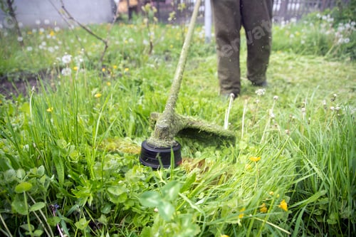 Preview: Lawn mover on green grass. Machine for cutting lawns.