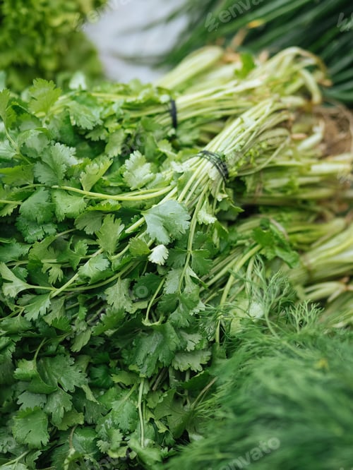 Visualização: Legumes verdes frescos no mercado público