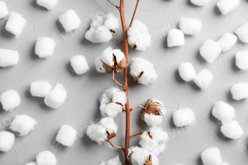 Preview: Flat lay composition with cotton balls and flowers on grey stone background