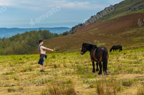 Visualização: Um cavalo preto selvagem no topo do Monte Adarra, na cidade de Urnieta, perto de San Sebastian