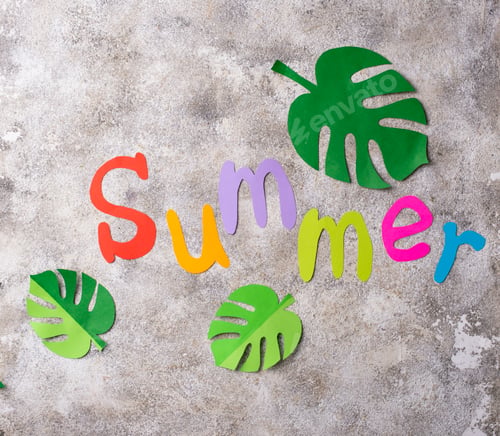 Preview: Summer background with monstera leaves