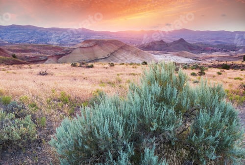 Preview: John Day Hills