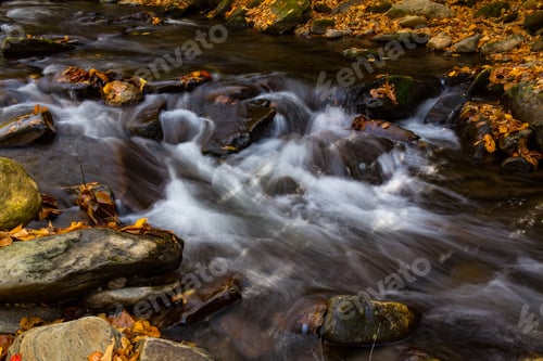 Preview: Close Up Of River Flowing In Autumn With Leaves In Smoky Mountains National Park
