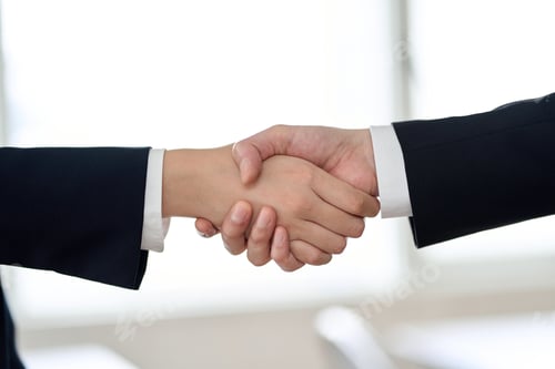 Preview: Hands of male and female business people shaking hands