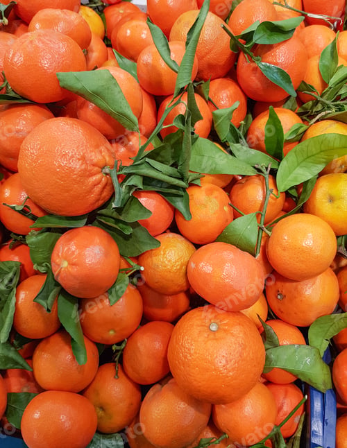 Preview: Organic background of tropical fruits, ripe tangerines on a twig with green leaves, food background