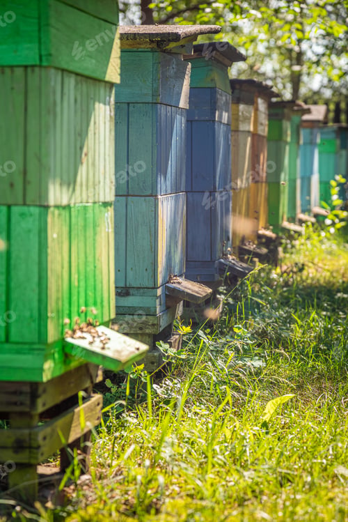 Preview: Old beehives in countryside. Ecological and natural beekeeping.