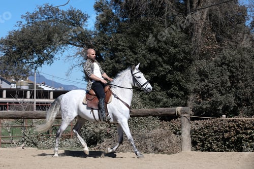 Preview: Young guy in casual outfit riding white horse on sandy ground