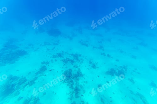 Preview: Expansive view of underwater ocean floor in blue tones