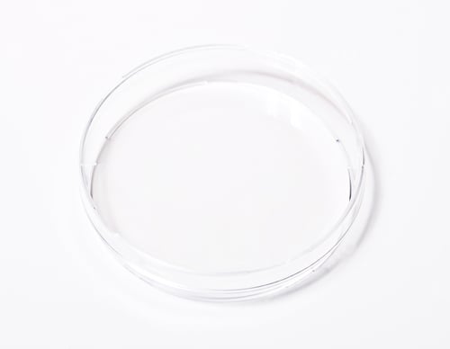 Preview: Dish, petri isolated on white