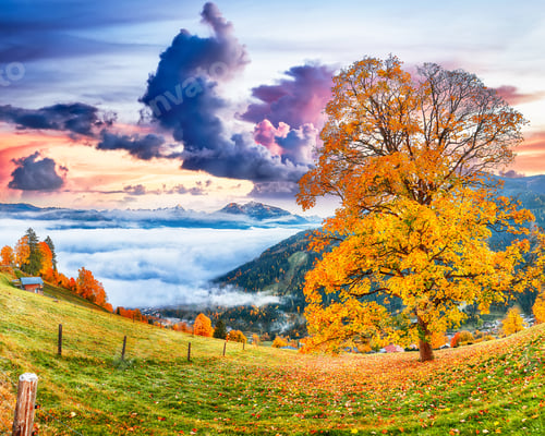 Preview: Incredible view of the meadows and mountains around Zell lake or Zeller See