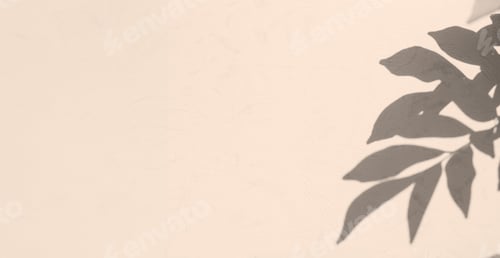 Preview: Shadow Leaf Tropic Summer Background, Abstract Leaves Branch Plant on blur Beige