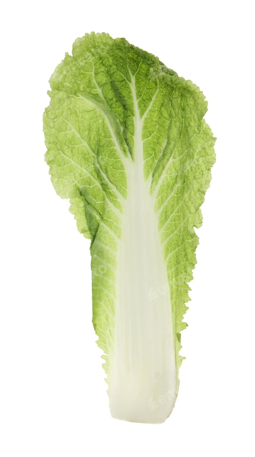 Preview: Fresh leaf of Chinese cabbage isolated on white