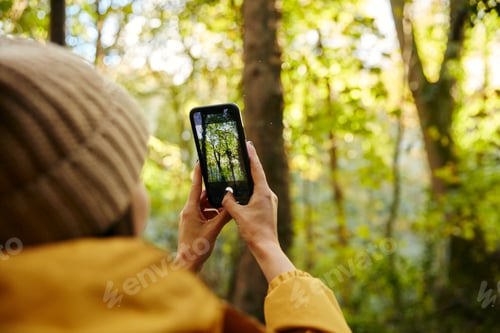 Preview: Woman holding up smart phone to take photograph of trees in woodland
