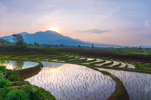 Preview: Beautiful morning view indonesia, Panorama Landscape paddy fields with beauty color and sky natural