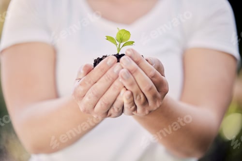 Preview: Shot of an unrecognisable woman holding a plant growing out of soil