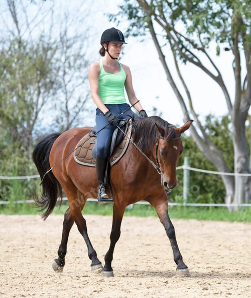 Preview: riding girl and horse