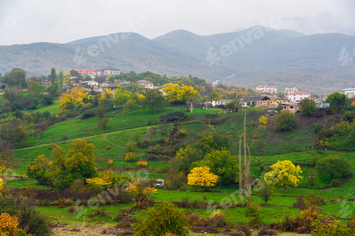 Preview: Yellow trees on a green meadow in the village
