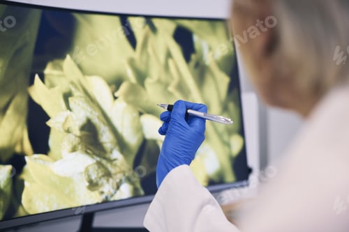 Preview: Science, hand and computer monitor in a laboratory for research, innovation or sustainability. Tech