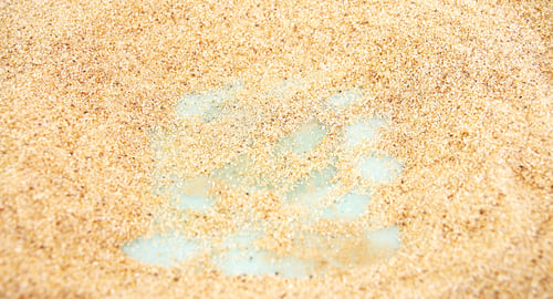 Preview: Sand texture. Sandy beach for background