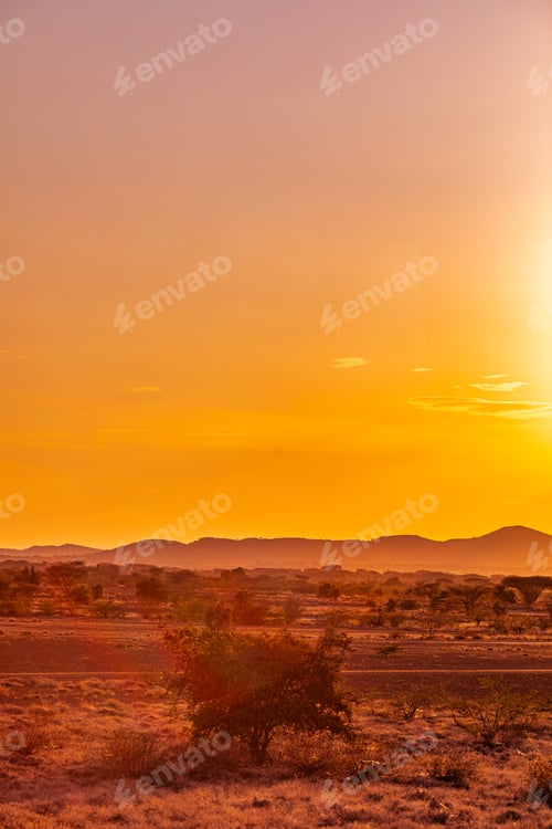 Preview: Kenya East Africa Landscapes Kalokol Lodwar Town Turkana Sunset Sunrise Highway Road Field Travels
