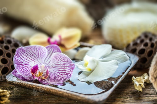 Preview: Floating orchid