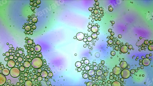 Preview: Abstract Colorful Food Oil Drops Bubbles and spheres Flowing on Water Surface