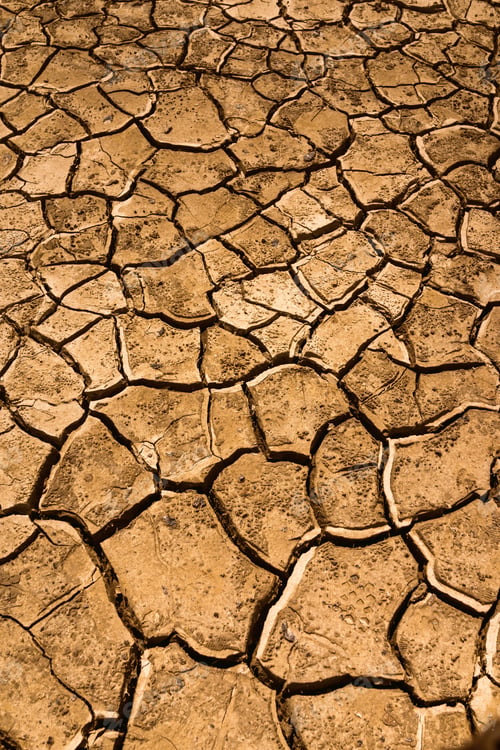 Preview: Dry cracked land