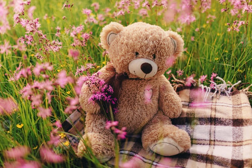 Preview: Teddy bear and a bouquet of lilac flowers. toy bag with a bouquet of flowers. spring flowers