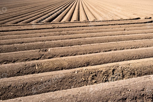 Preview: Furrows row pattern in a plowed field prepared for planting crops in spring