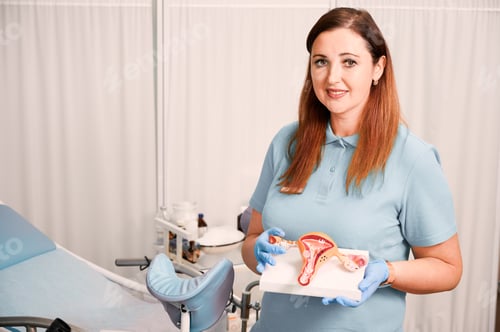 Preview: Woman in Clinic Holding Anatomical Model of Uterus