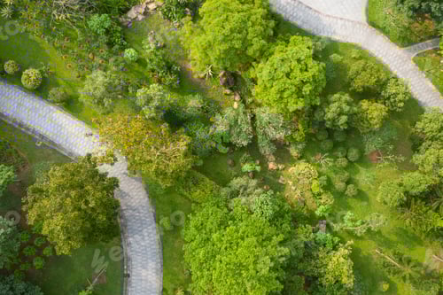 Preview: Aerial park