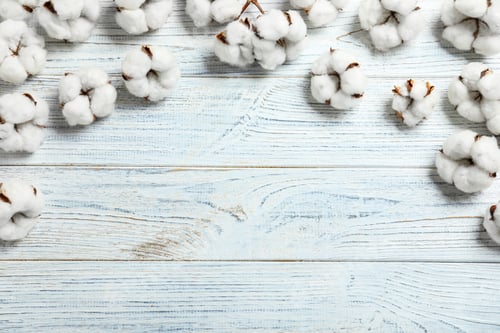 Preview: Flat lay composition with cotton flowers on white wooden background. Space for text