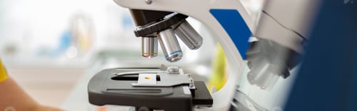 Preview: Woman vet conducting laboratory research in clinic