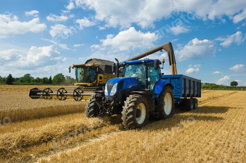 Preview: Combine harvester delivering harvested grain onto a grain trailer on a farm.