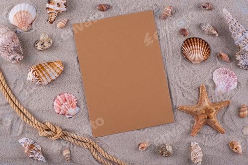 Preview: Summer nautical marine background with shell