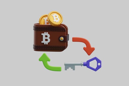 Visualização: Carteira Bitcoin com troca de chaves