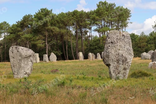 Preview: Menhirs of the Alignment of Kerlescan, megalithic monuments in Carnac