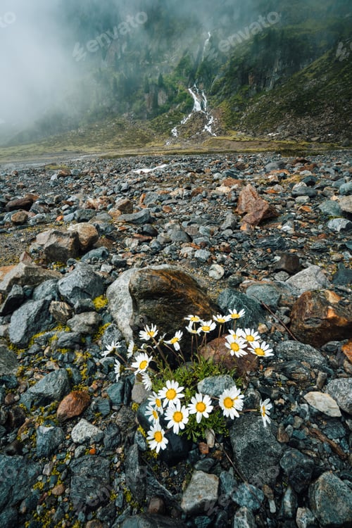 Preview: Mountain waterfall in the background. Sulzenau Alm, Stubai Alps, Austria.