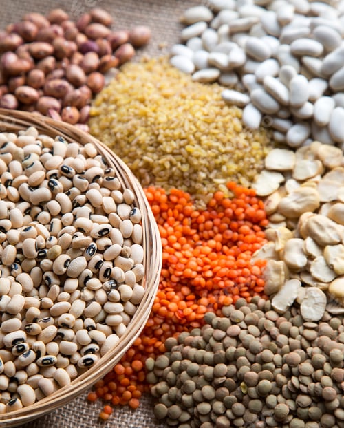 Preview: Healthy Vegetarian Raw Food Legumes