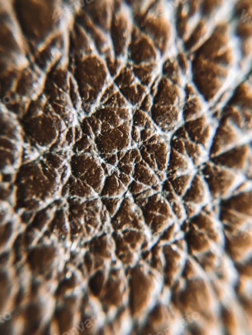 Preview: Brown leather extreme close up macro shot