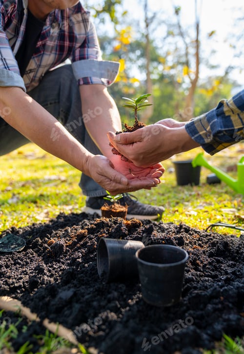 Preview: Two men are planting trees and watering them to help increase oxygen in the air and reduce global wa