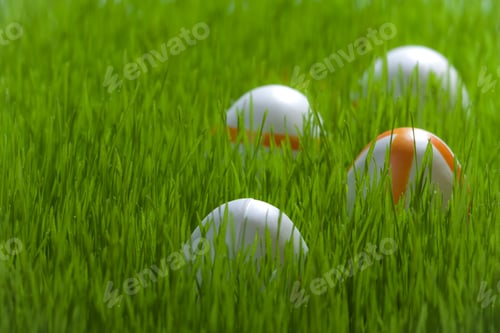 Preview: Four easter eggs on green young grass