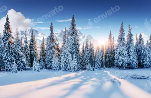 Preview: Beautiful sunlight. Majestic landscape with forest at winter time. Scenery background